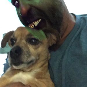 Meet your Posher, Vernon